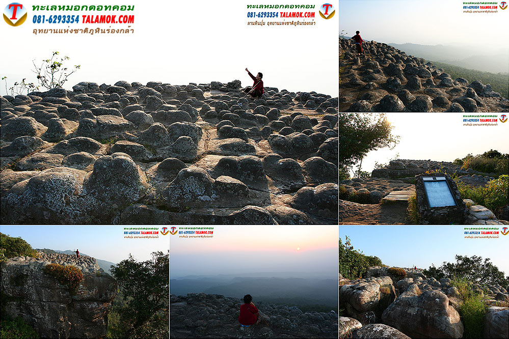 ลานหินปุ่ม อุทยานแห่งชาติภูหินร่องกล้า อำเภอนครไทย จังหวัดพิษณุโลก
